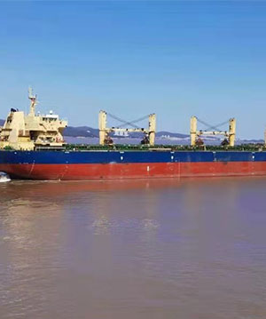 船東表示“令人驚嘆”的干散貨市場(chǎng)還將繼續(xù)